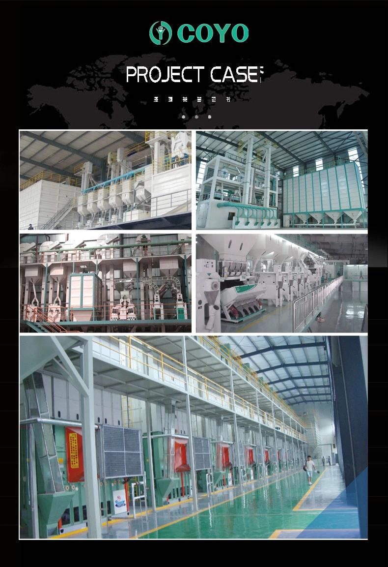 Fortified Artificial Machine Rice Kernels Production Line