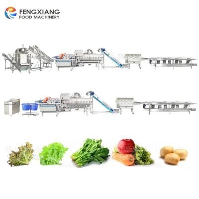 Leafy Vegetable Salad Cutting Washing Drying Machines Processing Line