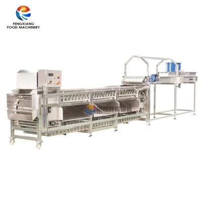 Commercial Mulifunction Garlic Mango Fruit Grading Sorting Machine