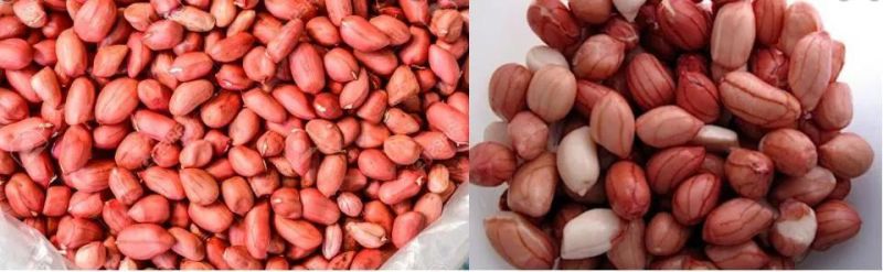 Continuous Groundnut Peanut Blanching Machine