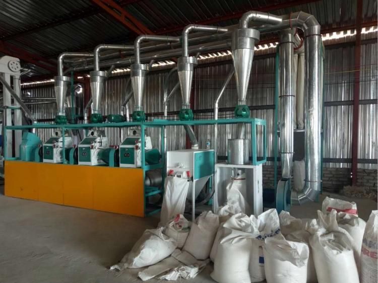 Maize Processing Machinery