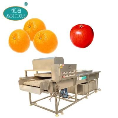 Fruits Cleaning Washer Big Tank Rush Roller Apple Orange Washing Machine