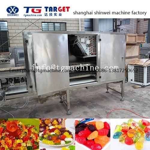 Gdq300 Gummy Candy Producting Line