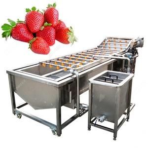 Multifunctional Hot Selling Mesh Belt Vegetable Air Bubble Washing Machine