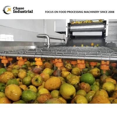 Mango Paste Processing Equipment Form Chase