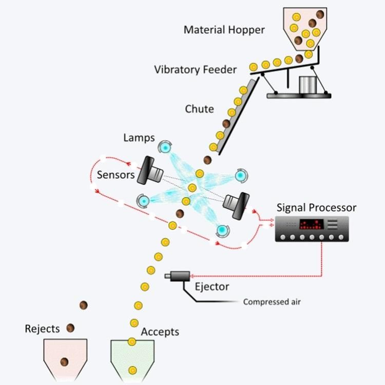 OEM Supplier 7 Chutes Green Gram Processing Machine Bean Color Sorter