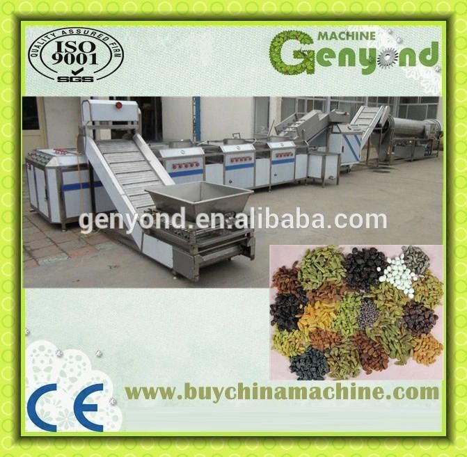 Raisin Processing Machine/Equipment