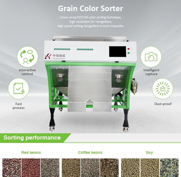 Grain Cleaning and Grading Sorting Machine for Cleaning Garlic