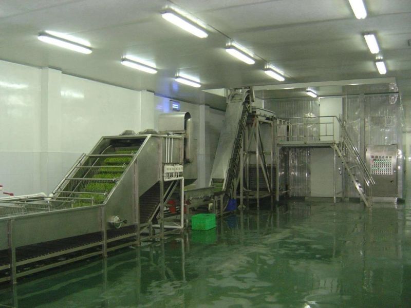High Quality 1000kg/H IQF Tunnel Quick Freezer for Seafood Processing