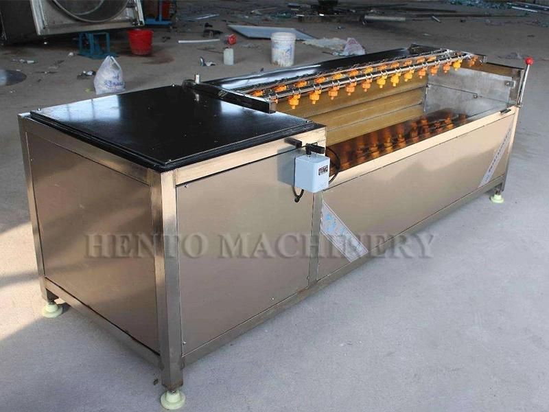 Industrial Fruit and Vegetable Potato Washer With CO