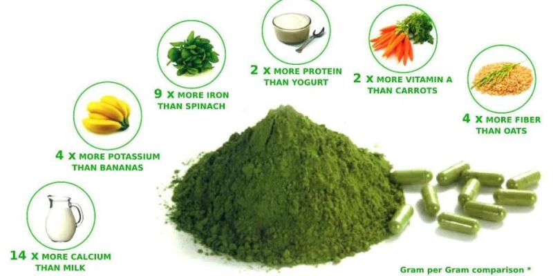 2020 New Industrial Tunnel Automatic Microwave Spirulina Drying Sterilization Machine