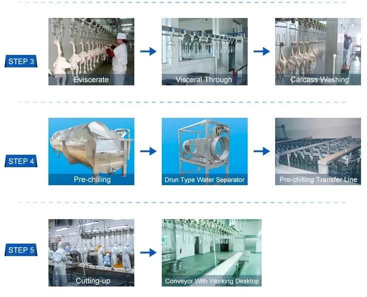 300~10000bph Poultry Abattoir Slaughterline Equipment for Sale