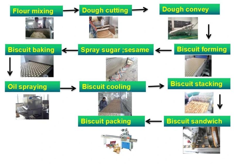 Kh New Design High Quality Biscuit Machine for Food Factory