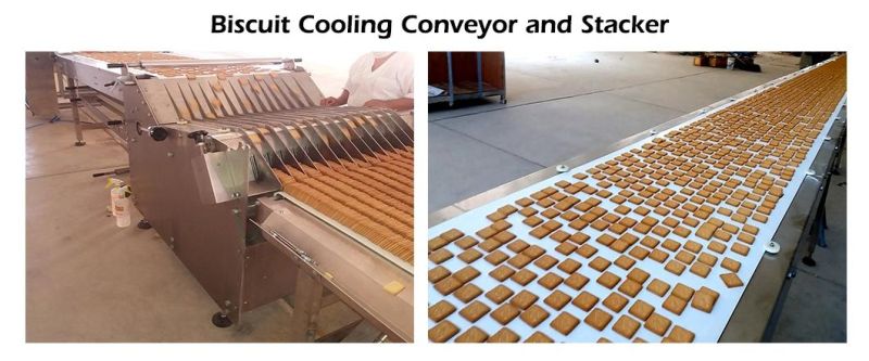 Automatic Biscuit Making Machine High End Production Line for Biscuits Price