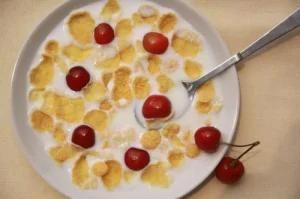 Breakfast Cereals /Corn Flakes Making Line