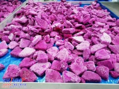 Quick Freeze Fruit Pulp and Fruit Cube Processing Line Fruit Freezing Machine in Supply