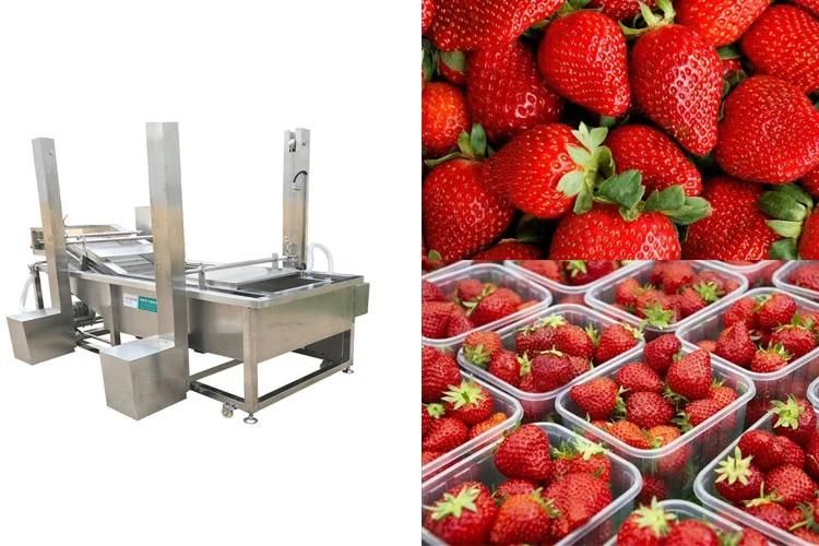 Industrial Conveyer Belt Washer Fruit Strawberry Washing and Cleaning Machine