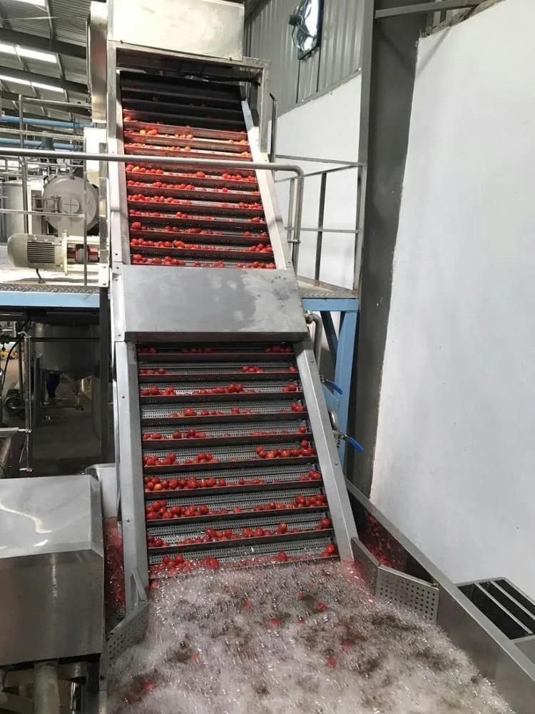 Large Capacity Tomato Vegetable Processing Line
