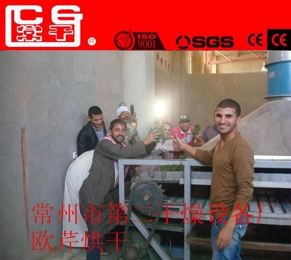 Scallion Dedicated Belt Drying Machine