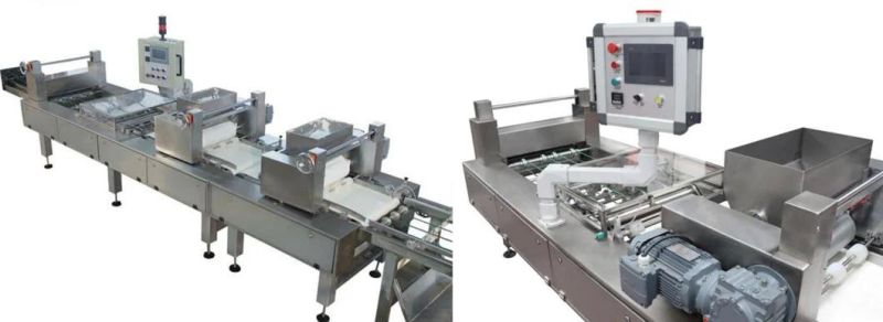 Automatic Hot Sale Chocolate Biscuit Machine Big Capacity Wafer Biscuit Production Line