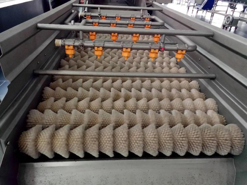 High Efficiency Tomato Cherry Fruit Brush Washing Machine