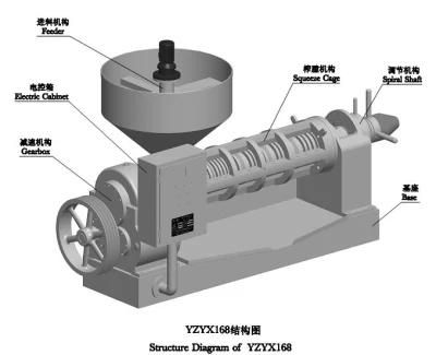 Peanut/Groundnut/Rapeseed/Sunflower/Corn/Soybean Oil Expeller