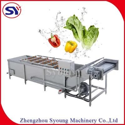 2020 Automative Food Fruit Vegetable Bubble Washing Conveying Machine