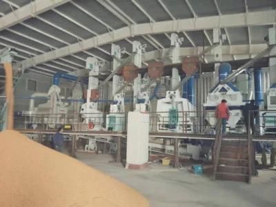 Clj Brand Sorghum Rice Process Professional Auto Rice Mill Machine in Egypt