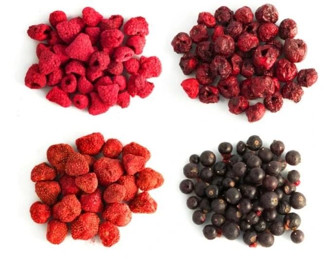 Dehydrator Fruit and Vegetables Strawberry Freeze Dryer Lyophilizer