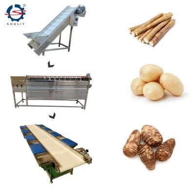 Brush Roller Fish Scale Removing Potato Cleaning Peeling Line Machine