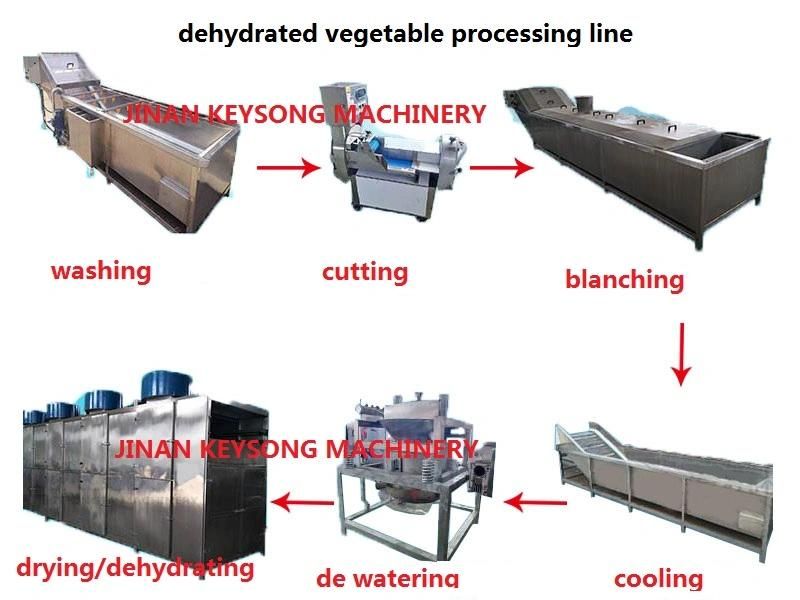 Commericial Vegetable and Fruit Food Washing Cleaning Machine