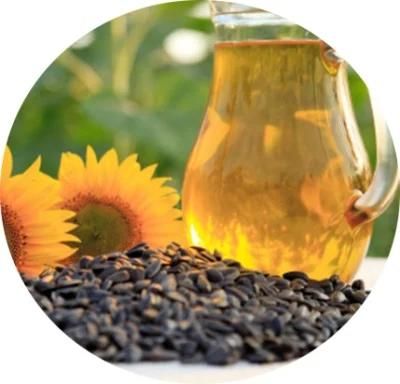 Sunflower Oil Processing Machine