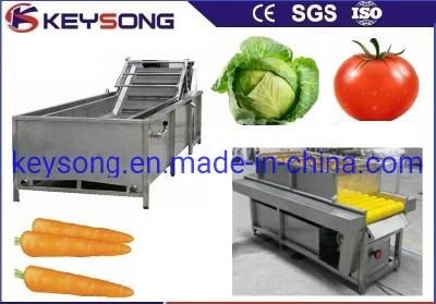 Vegetable Processing Line Polishing Cleaning Washing Machinery Air Bubble Washer