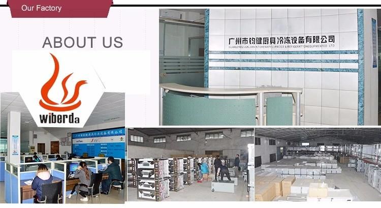 Guangzhou Manufacture Making Mobile Soft Commercial Ice Cream Machine for Sale From China