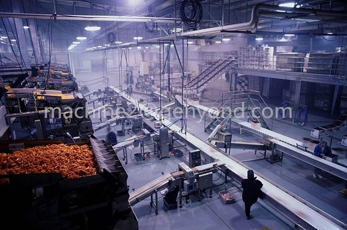 Design and Manufacturing Carrot Powder Production Line