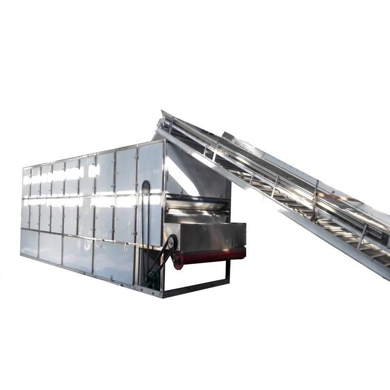 Multifunctional Fruit, Vegetable and Food Drying Box Conveyor Belt Type Automatic Drying Box