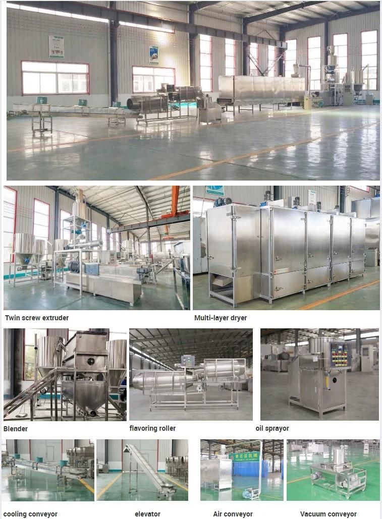 Best Quality Automatic Sinking Floating Fish Feed Making Machine Pellet Extruder Factory Price Stainless Steel Pet Food Processing Line CE Certificate Plant