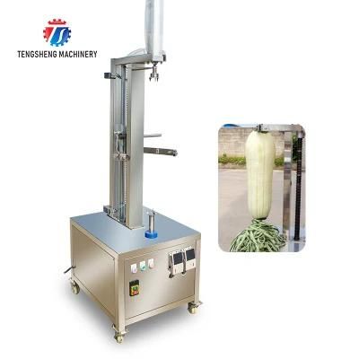 Factory Customized Peeling Machine Fruit Vegetables Peeler Food Processor (TS-P80)