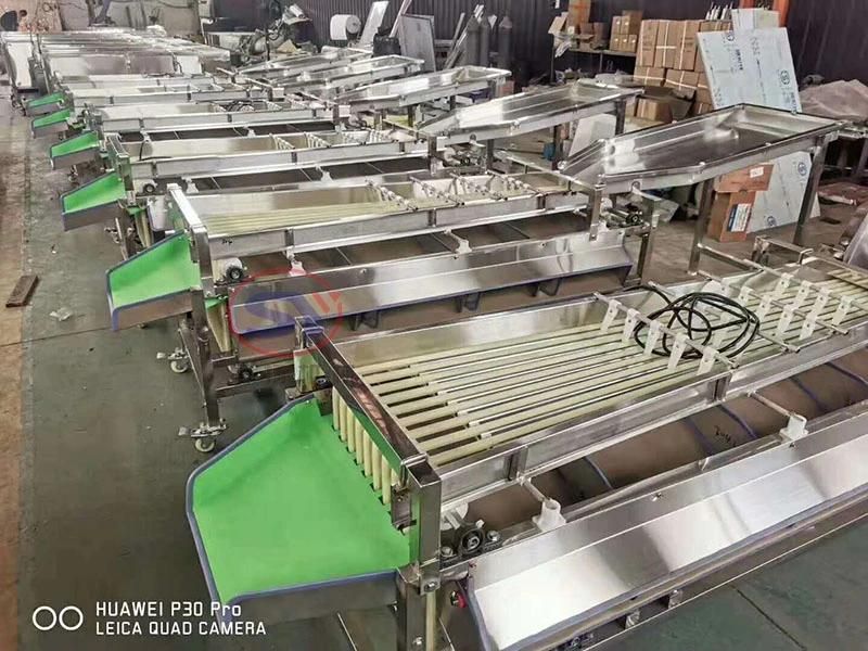 Walnut Sizing Sorting Machine Size Grading Factory