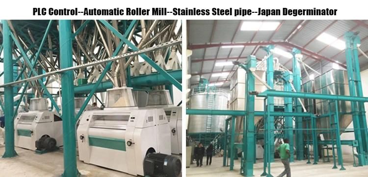 2021 Best Flour Processing Line 50ton Maize Flour Milling Machine