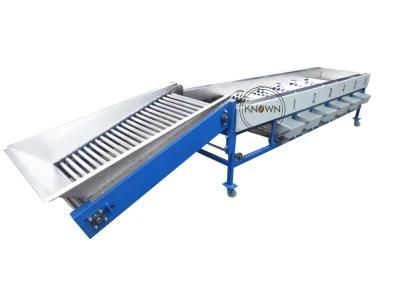 Automatic Orange Apple Pear Fruit Sorting Classification Machine