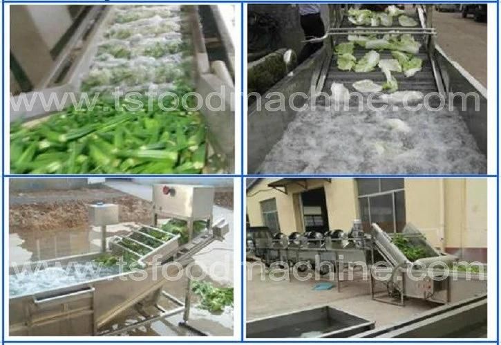 Automatic Conveyor Continuous Ginger Washer and Washing Machine