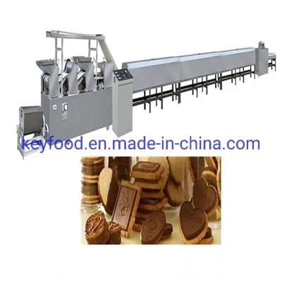 Large Capacity Biscuit Production Line with 500kg/H