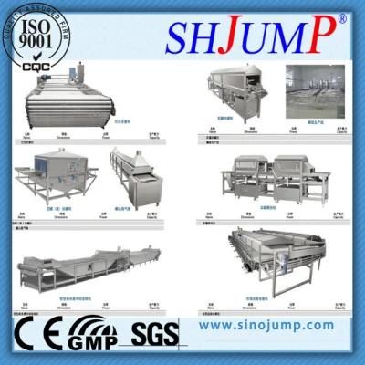 Delicious Dried Fruit and Fruit Chips Production Line in Full Automatic Operation