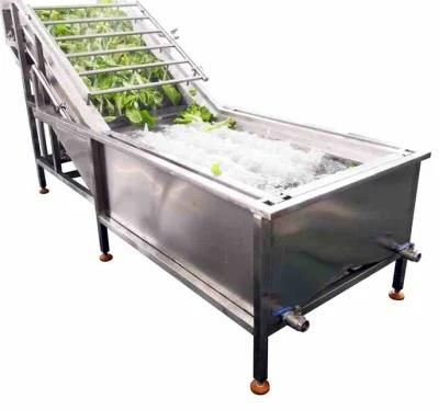 Wholesale High Capacity Industrial Leaf Vegetable Air Bubble Washing Machine Price