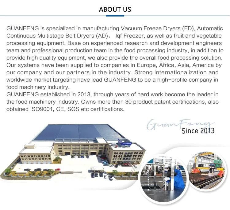 2t IQF Quick Freezer Machine for Pear Processing Line