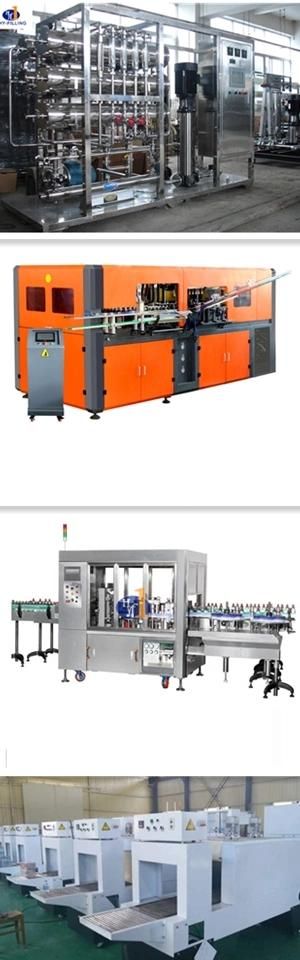 New Technology Customized Pasteurizer Pasteurization Machine From Zhangjiagang