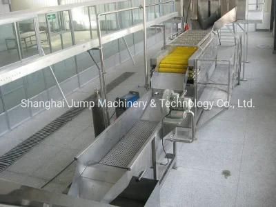 Garlic Processing Line Breaking Peeling Machines Automatic Production Machines