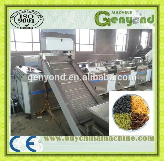 Raisin Processing Machine/Equipment