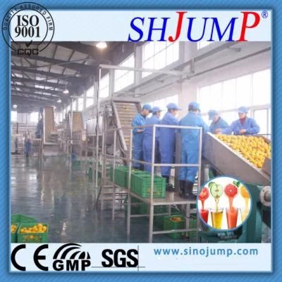 Cold Press Type Juice Beverage Production Line